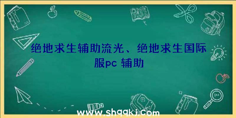 绝地求生辅助流光、绝地求生国际服pc